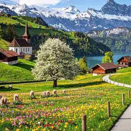 Switzerland